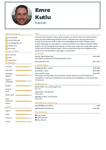 cv indir